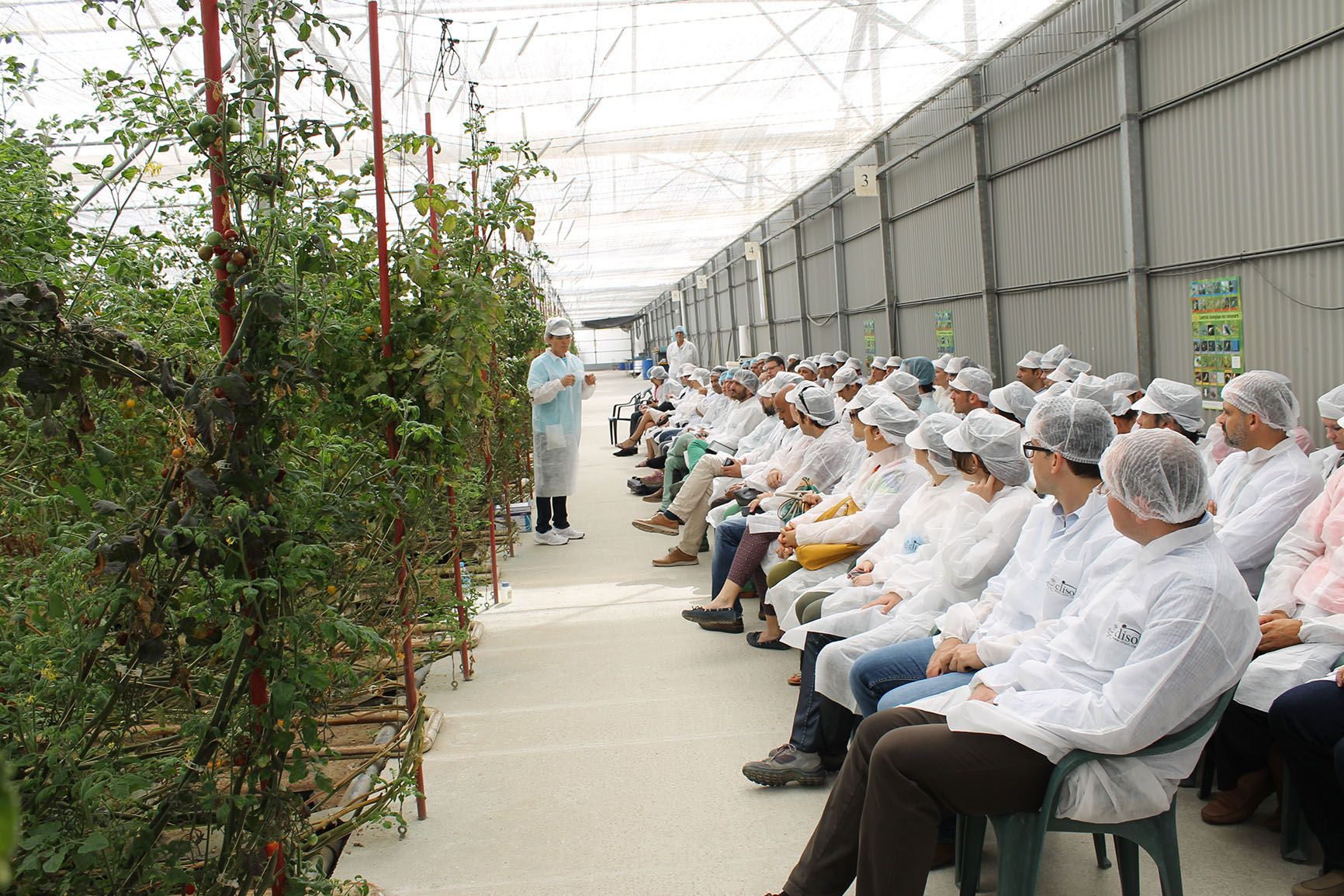 GLOBALGAP TOUR_VISITA CLISOL AGRO