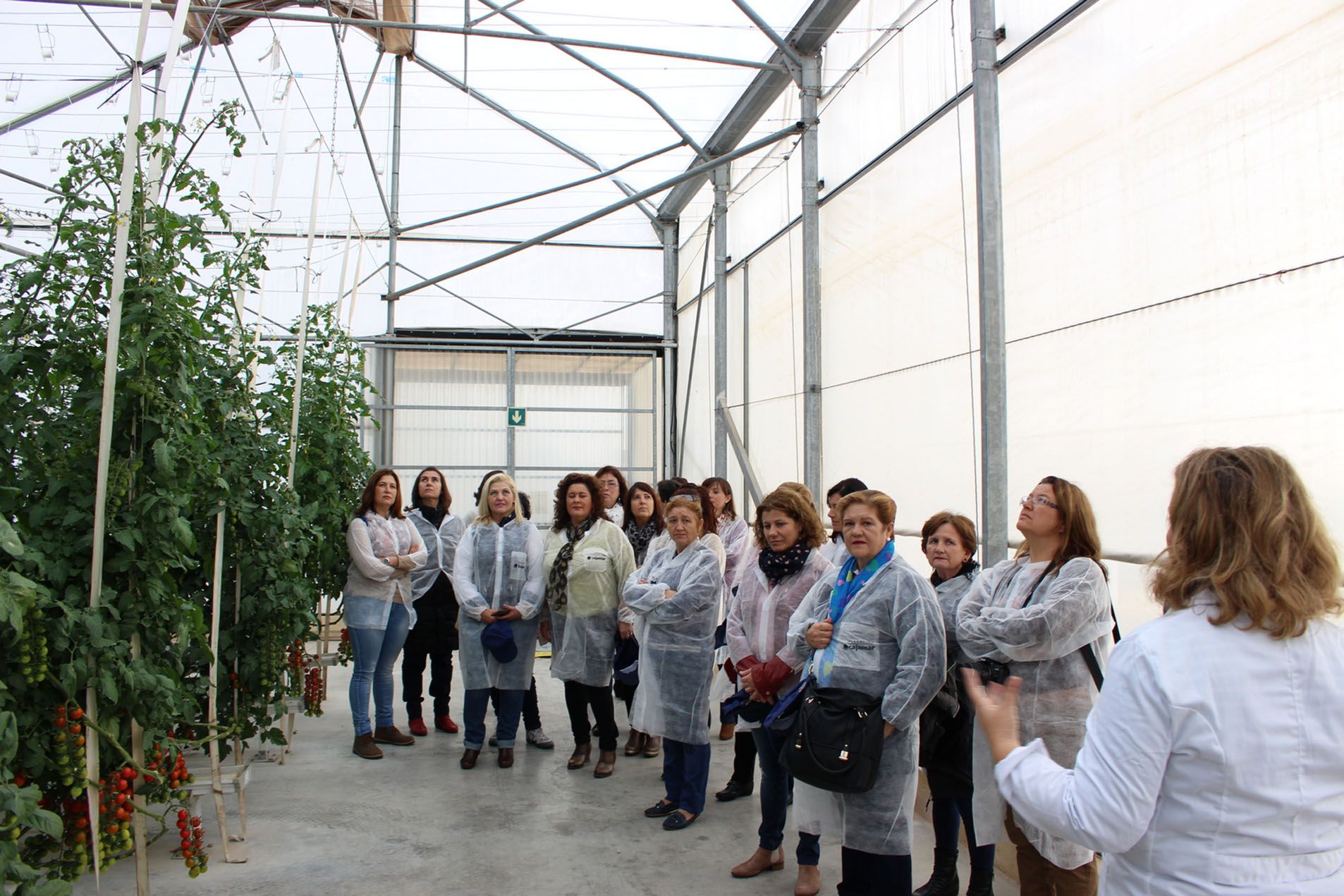 jornada-integracion-genero-cabasc_visita-las-palmerillas-2
