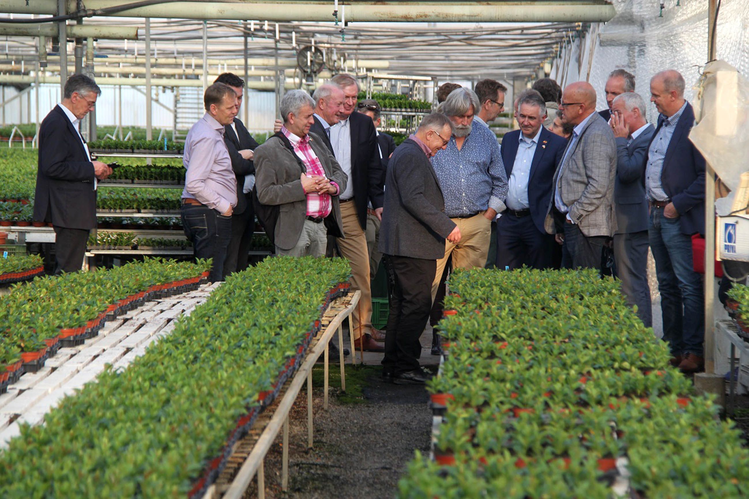 visita-finca-ornamental