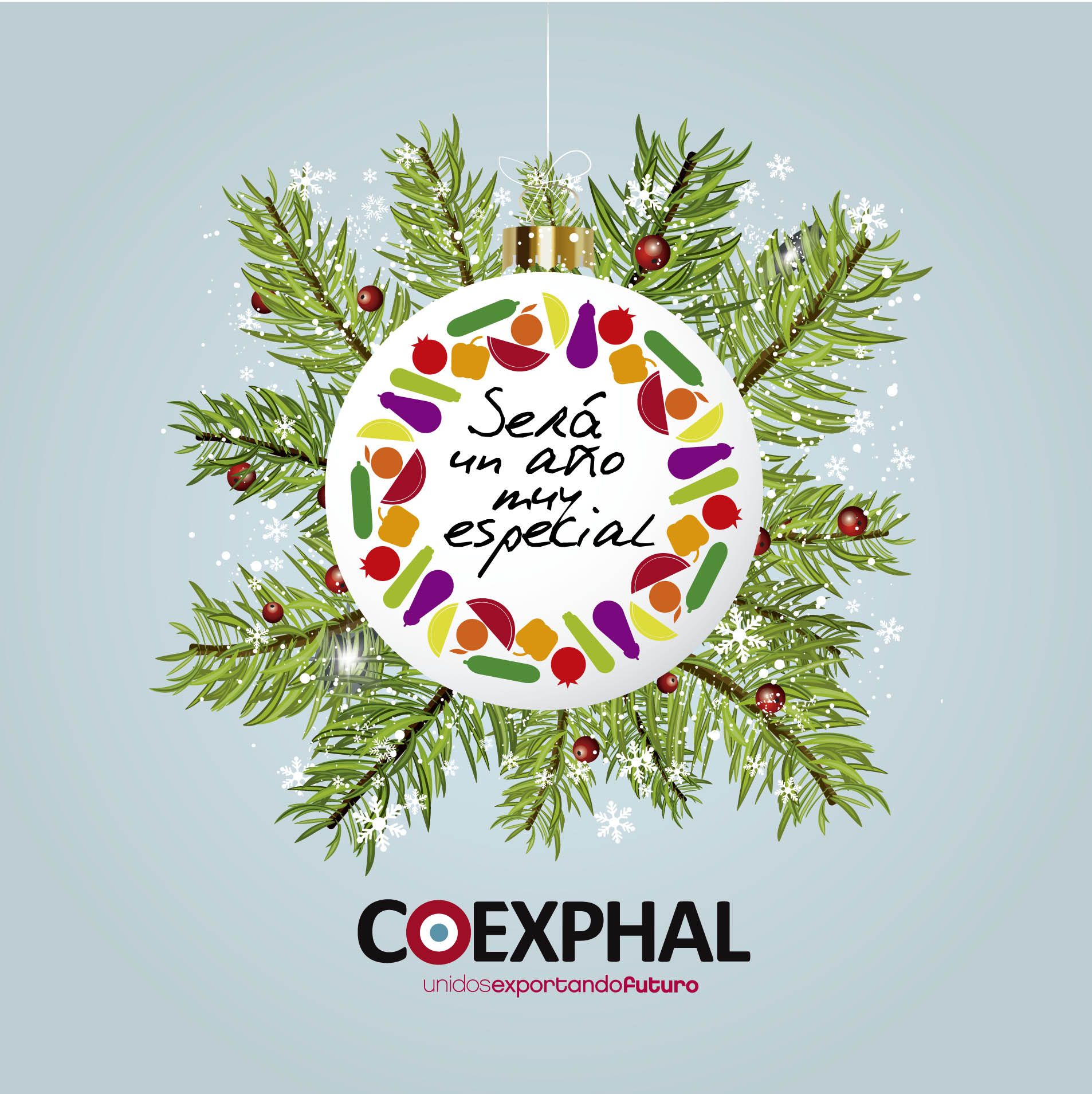 xmas coexphal 2016