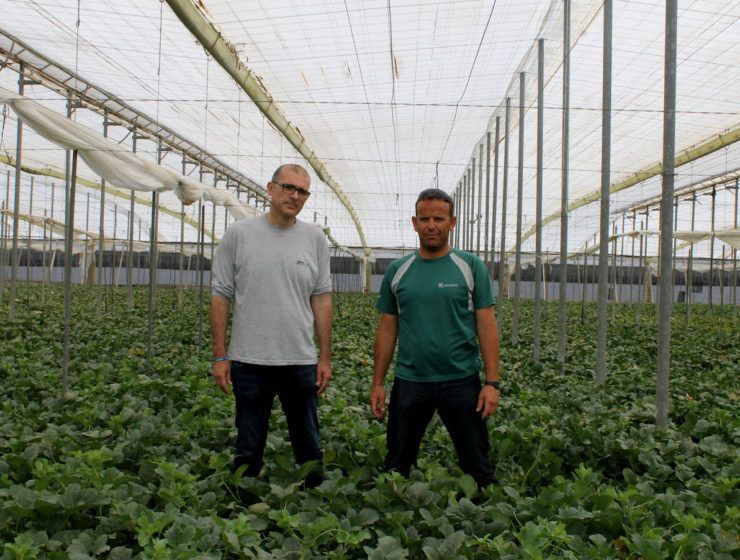Manuel Martínez y Juan Carlos López, campo limpio