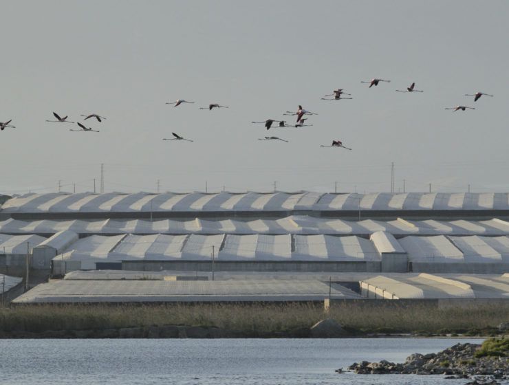 Sostenibilidad en los invernaderos de Almería