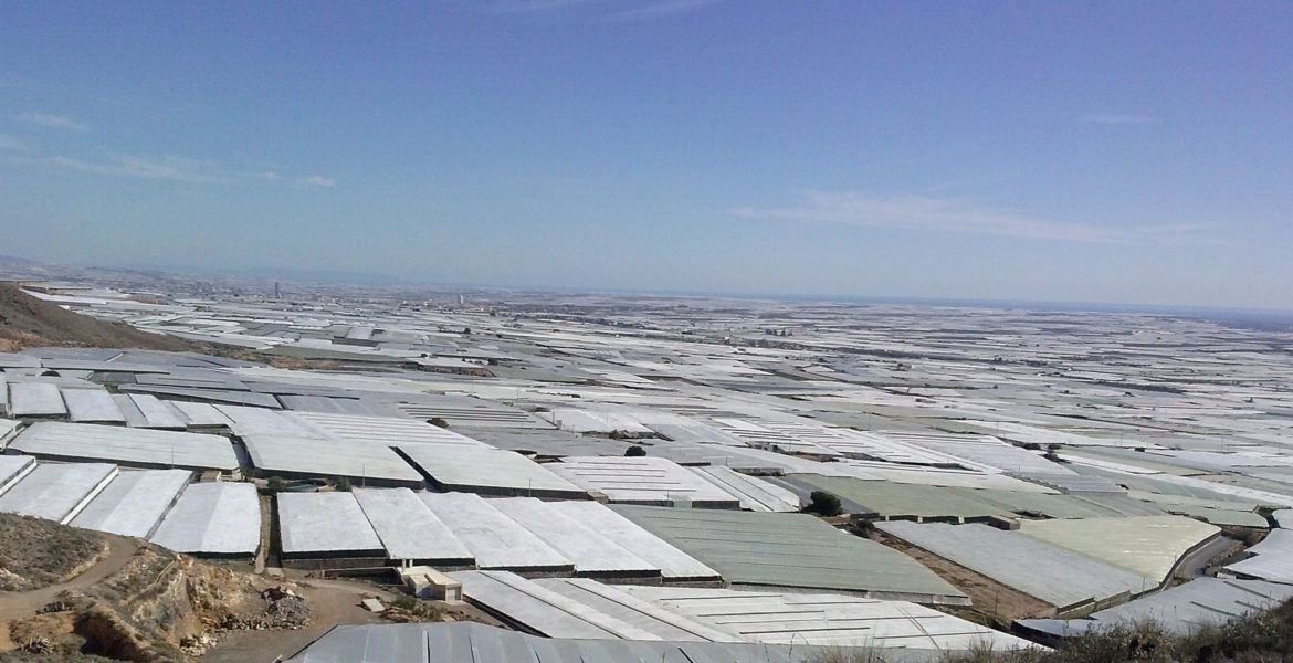 invernaderos