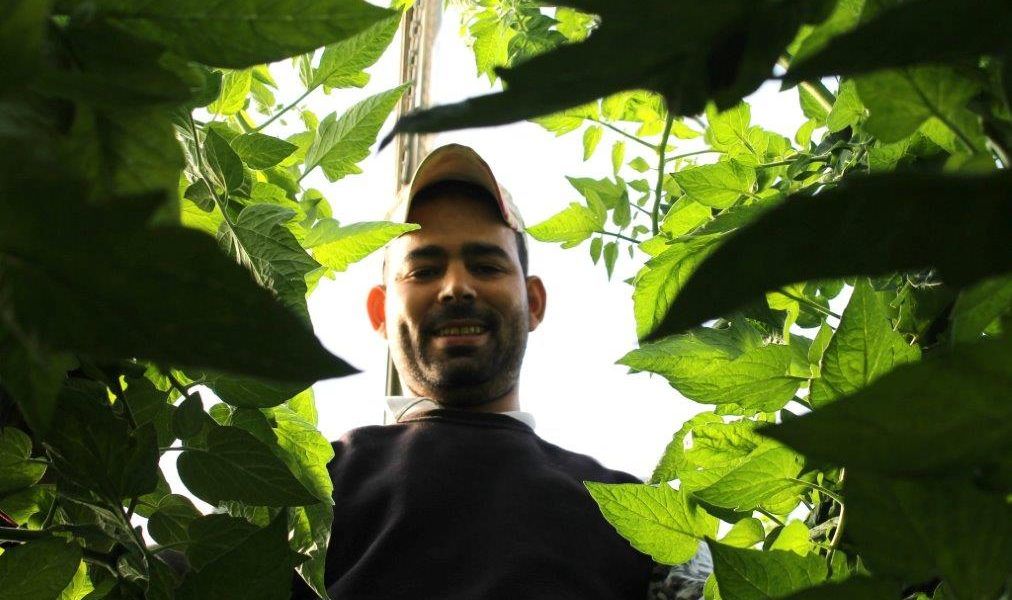 Trabajador inmigrante