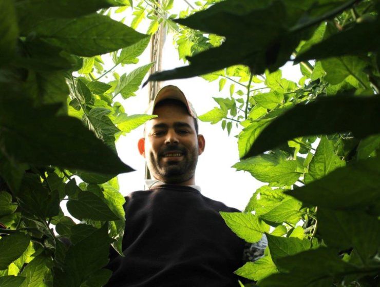 Trabajador inmigrante