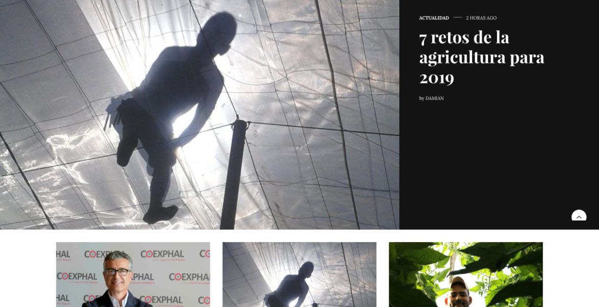 Aenverde.es tiene una nueva página web