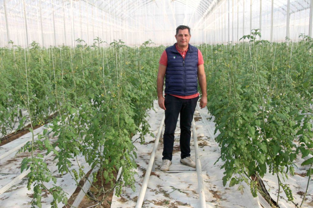 Andres Romero, responsable de Nuevos proyectos en Agrosol Export