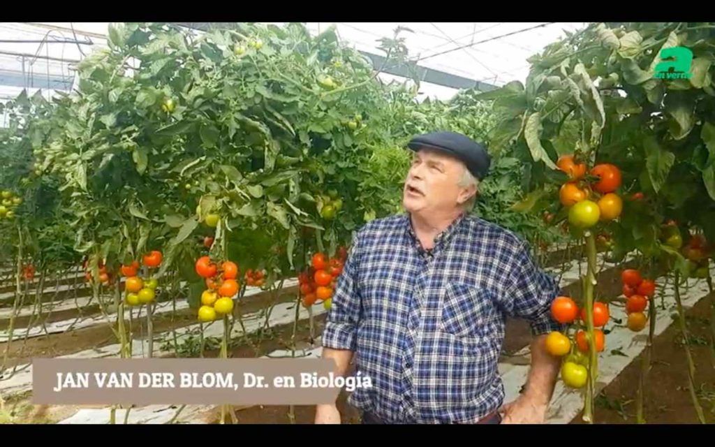 Culticonsejo de Jan van der Blom