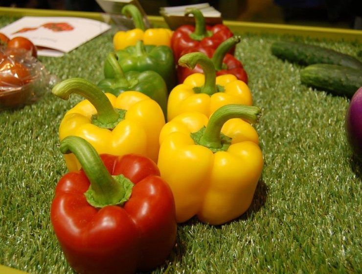 precios pimientos mercado