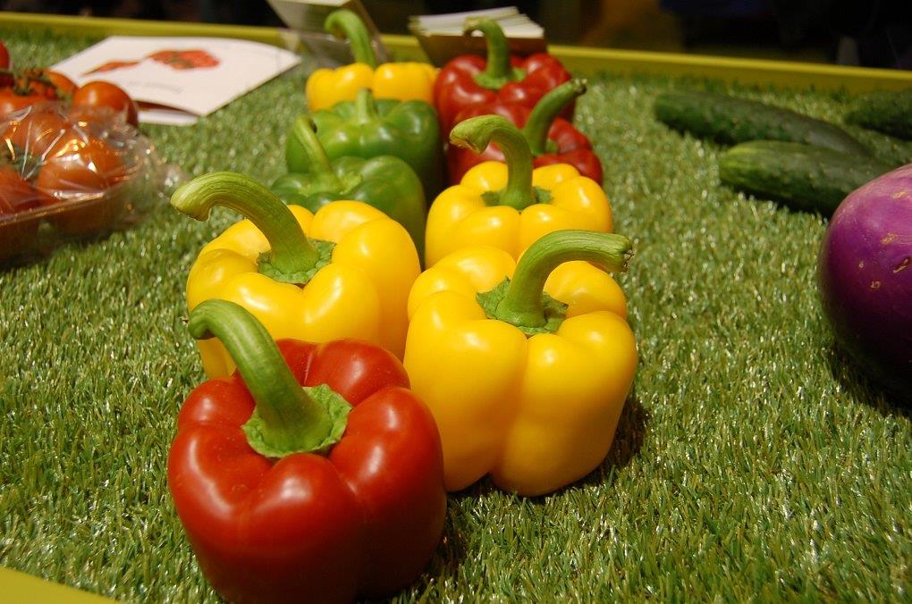 precios pimientos mercado