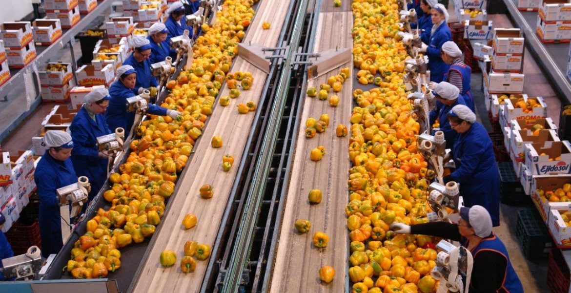almancen de manipulado de frutas y hortalizas