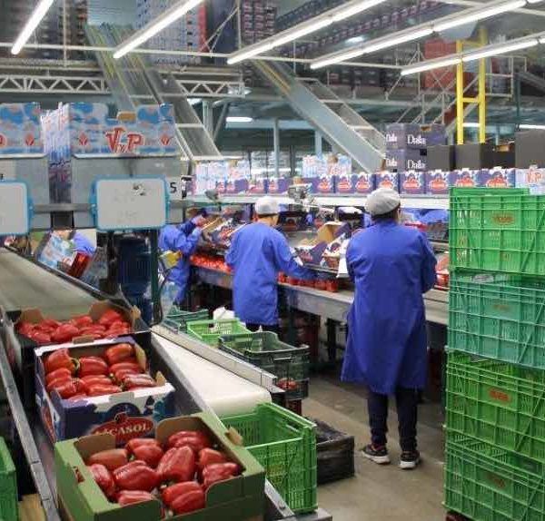 Cooperativa agraria de Almería