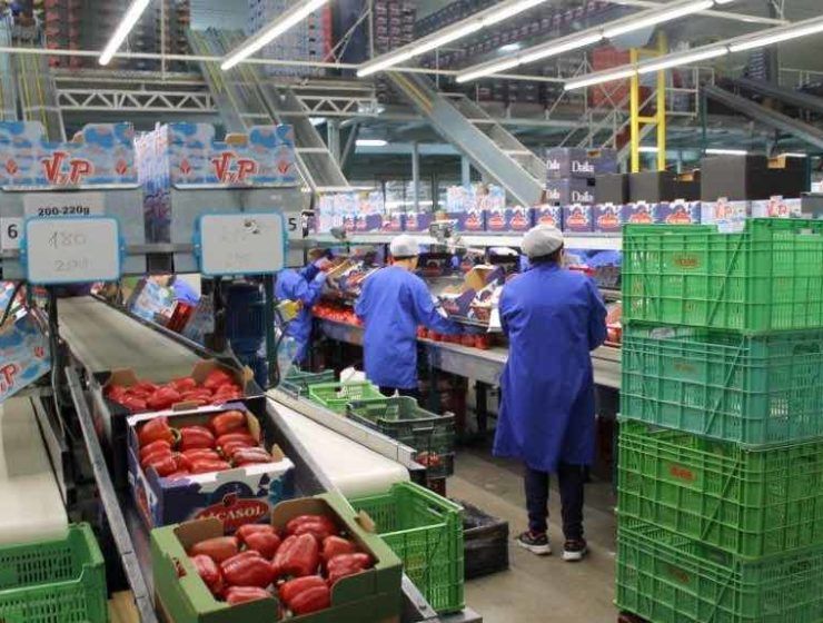 Cooperativa agraria de Almería