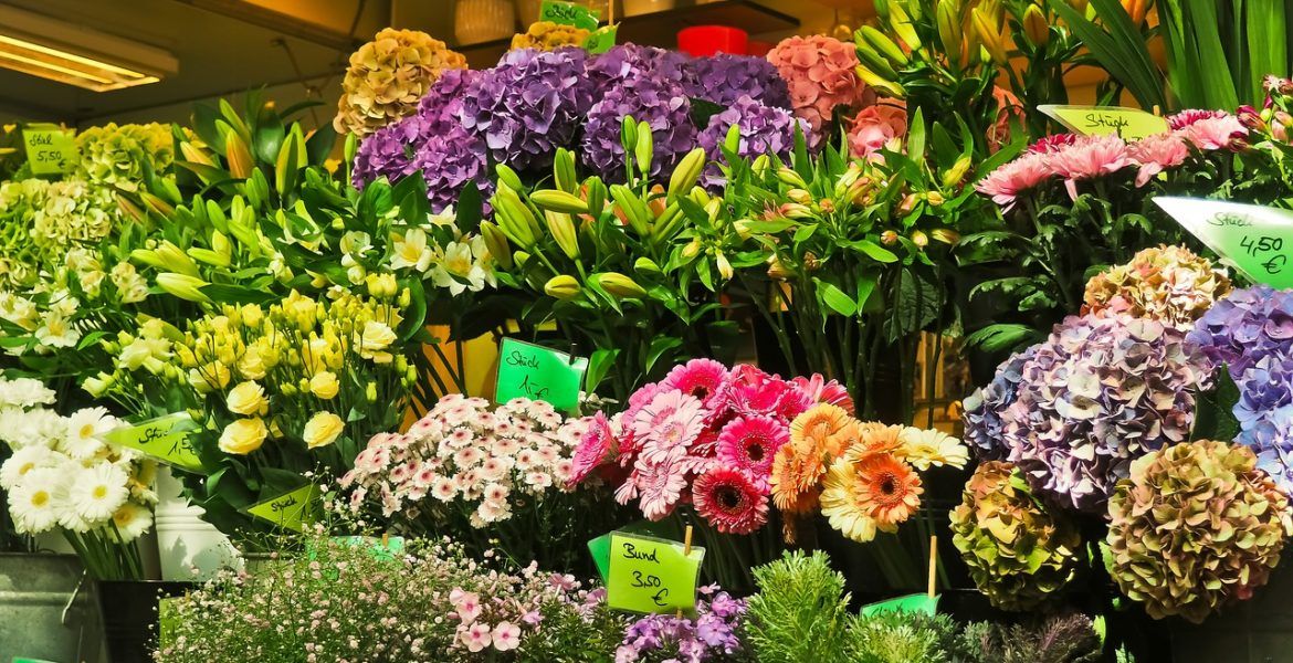 la exportación de flor cortada y flor viva