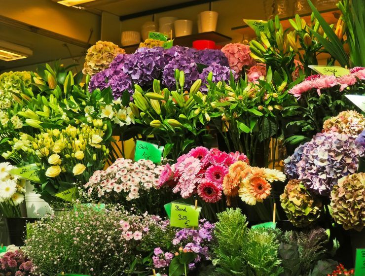 la exportación de flor cortada y flor viva