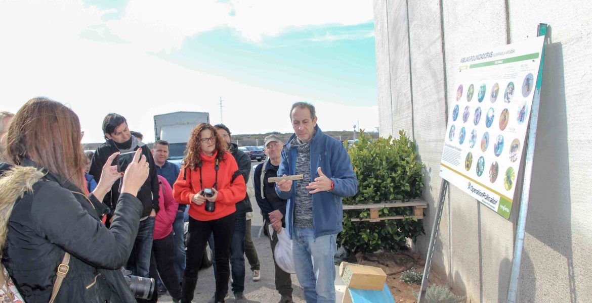 Jornada Sygenta sobre el uso sostenible de las plantas en invernaderos
