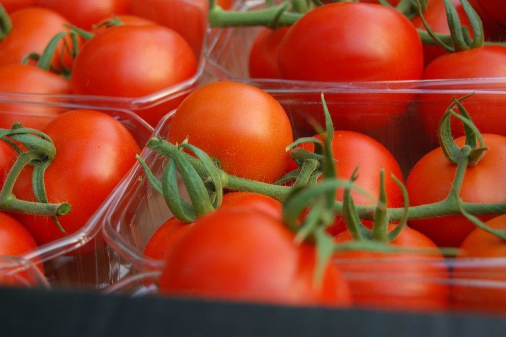 Precios medios semanales de liquidación al agricultor por tipos comerciales de tomate