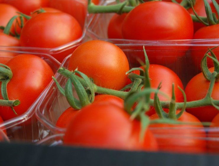 Precios medios semanales de liquidación al agricultor por tipos comerciales de tomate