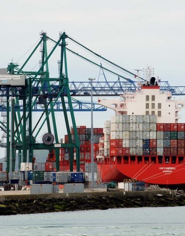 Exportaciones de frutas y hortalizas extracomunitarias
