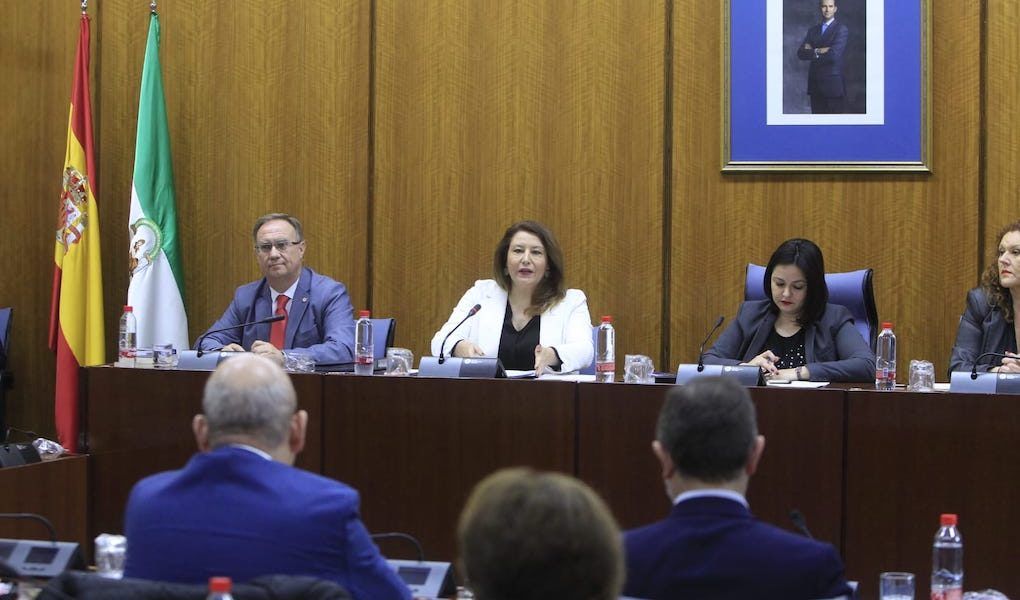 comisión parlamentaria de la Junta de Andalucía