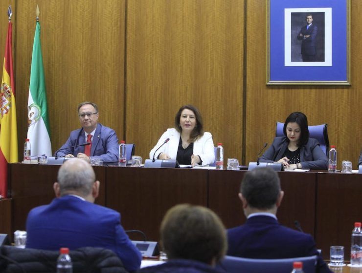 comisión parlamentaria de la Junta de Andalucía