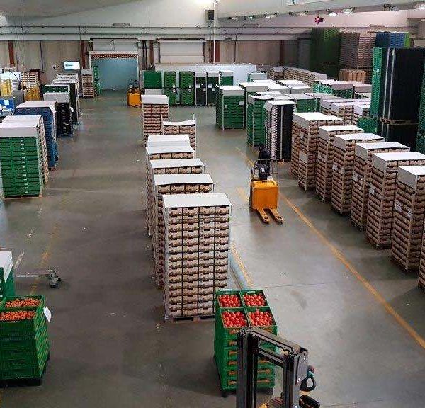 Almacen de manipulado de frutas y hortailzas