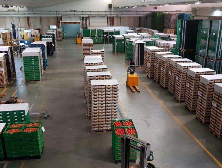 Almacen de manipulado de frutas y hortailzas