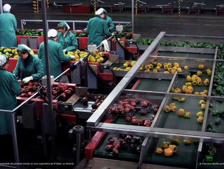 Almacen manipulado frutas y hortalizas