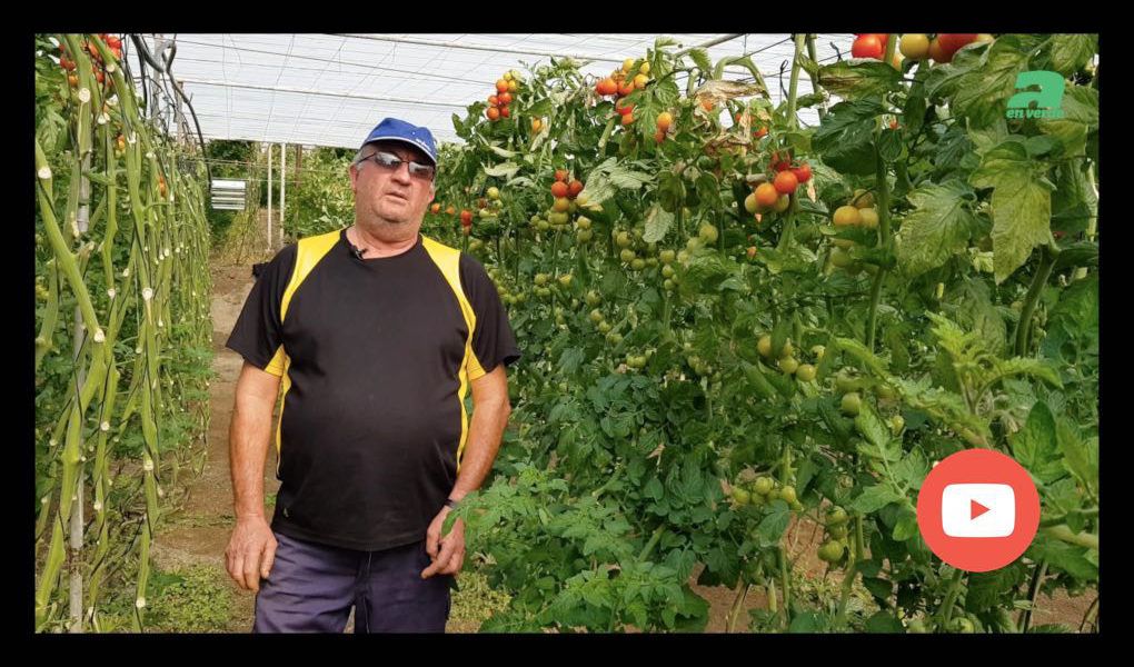 Pedro Luna, agricultor de Las Hortichuelas