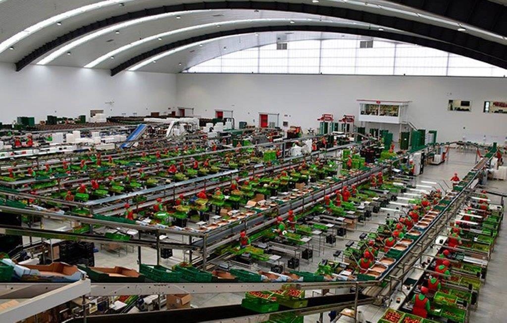 Almacen de manipulado de Biosabor