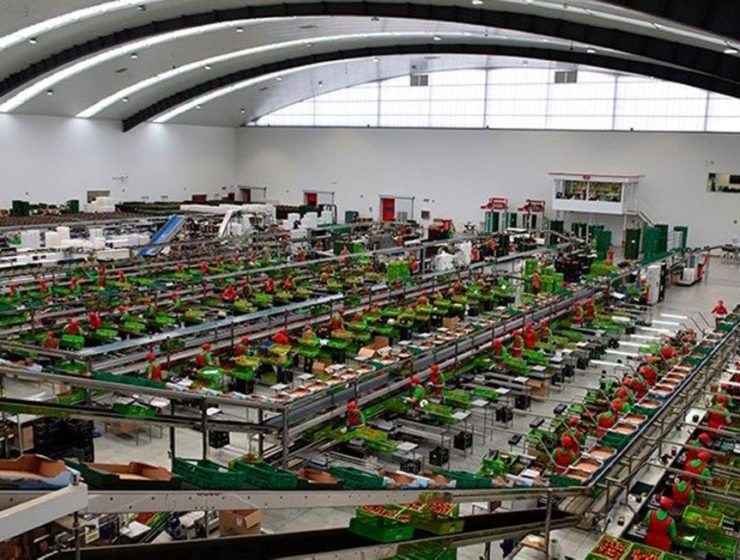 Almacen de manipulado de Biosabor