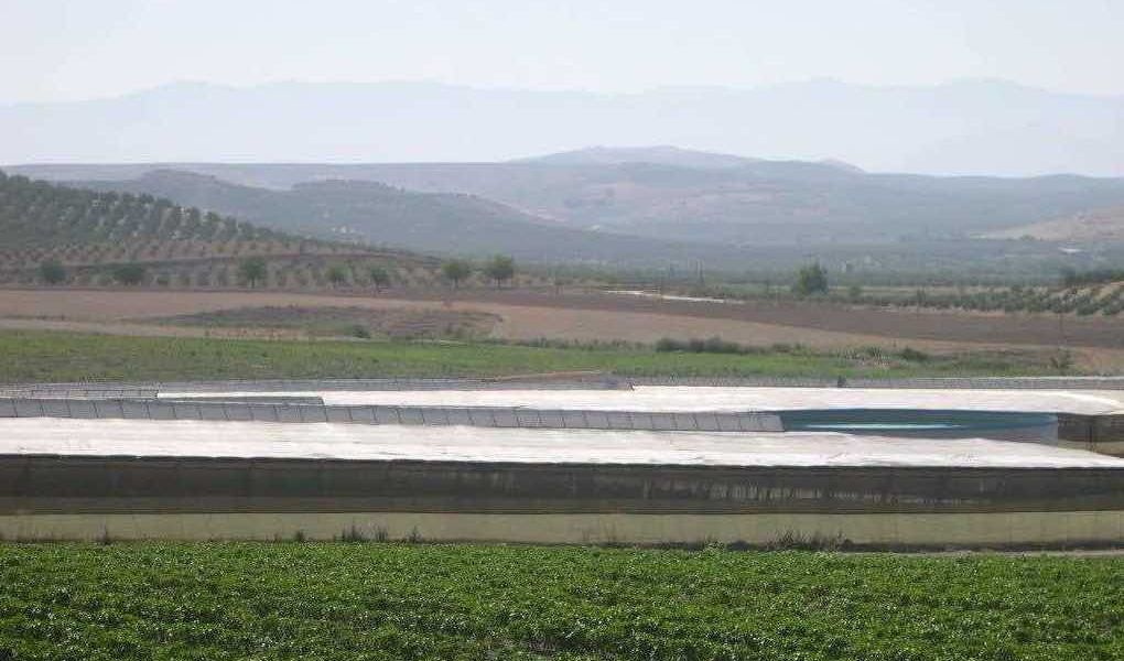 Plan Estratégico para la agricultura andaluza