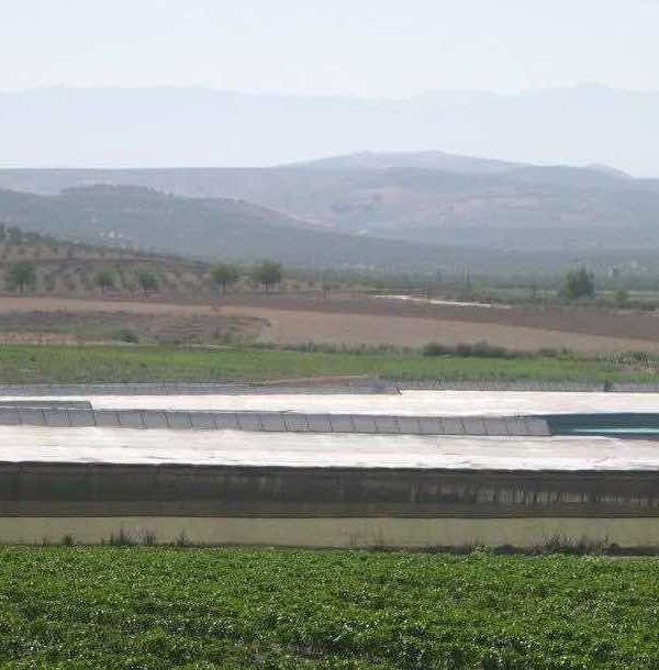 Plan Estratégico para la agricultura andaluza