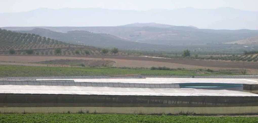 Plan Estratégico para la agricultura andaluza