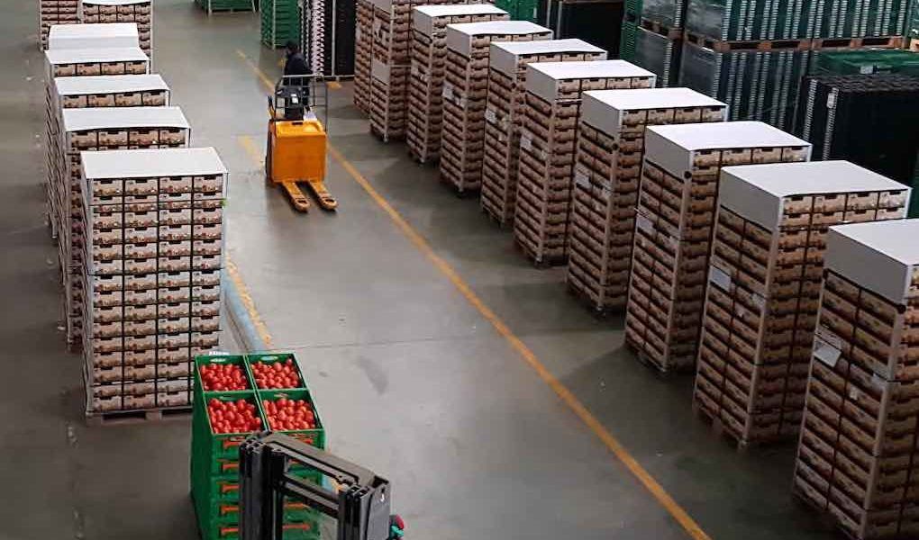 Curso de prevención de riesgos laborales