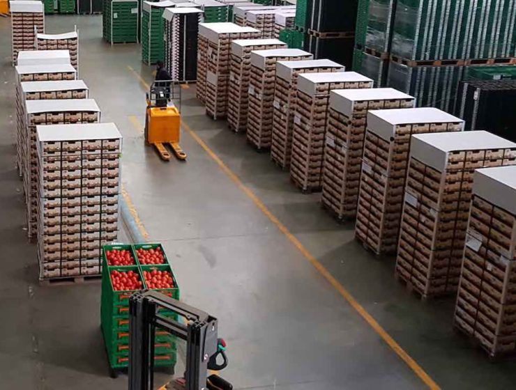 Curso de prevención de riesgos laborales