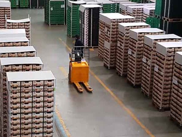 Curso de prevención de riesgos laborales