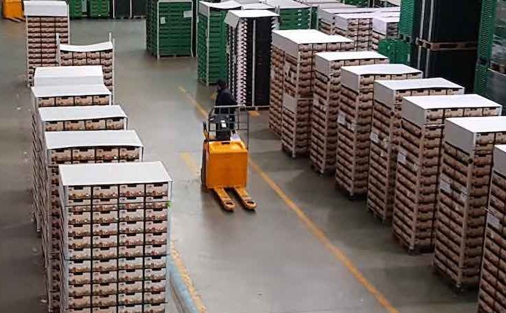 Curso de prevención de riesgos laborales
