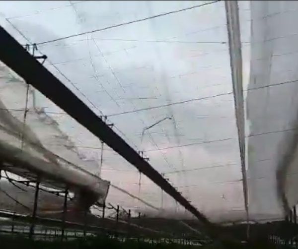 invernadero afectado por vientos