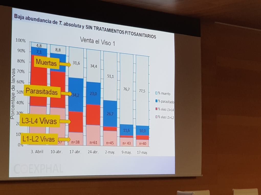 Jornada de tuta absoluta en Almería