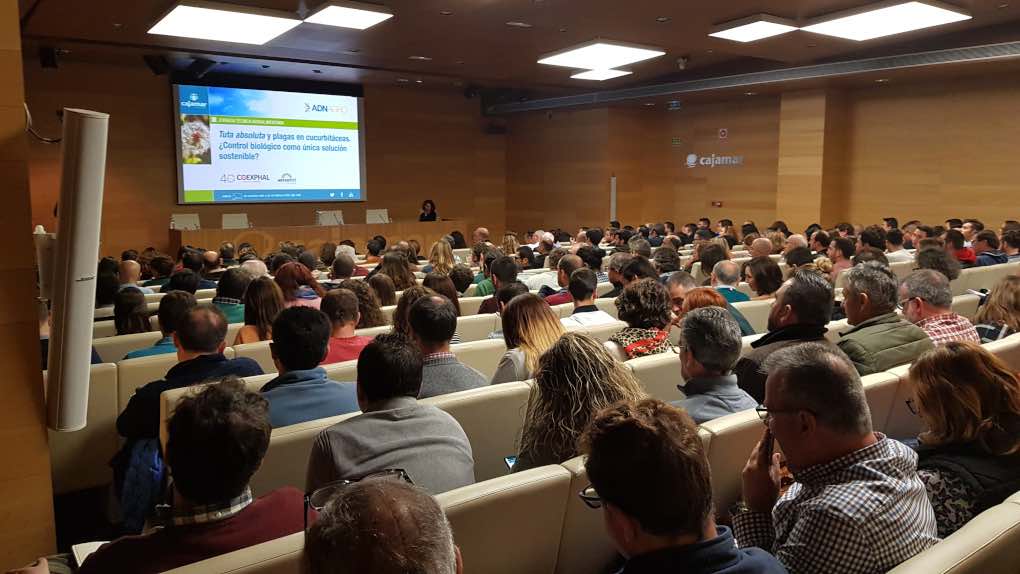 Jornada de tuta absoluta en Almería