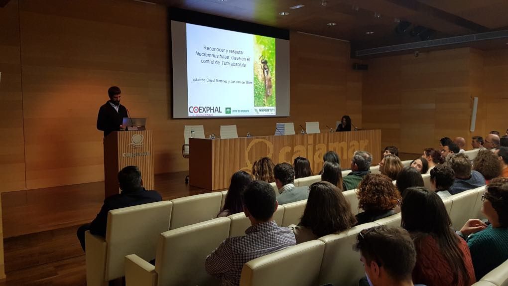 Jornada de tuta absoluta en Almería