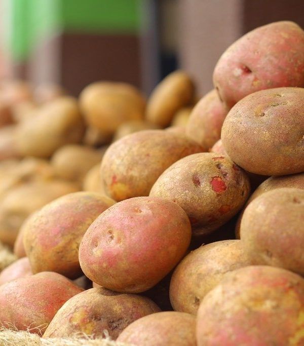 importación de frutas y verduras patatas
