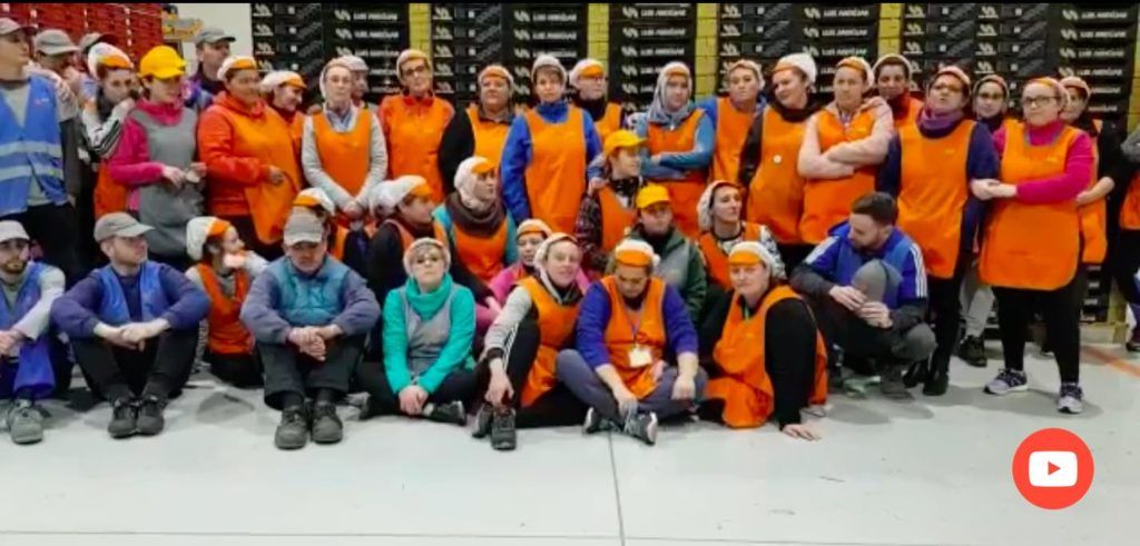 trabajadoras de la empresa Luis Andñujar