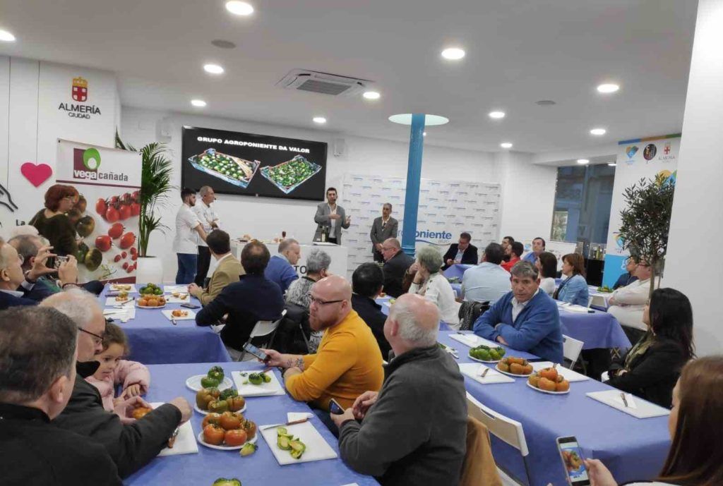AGROPONIENTE. Cata de Tomates Almería 2019 4