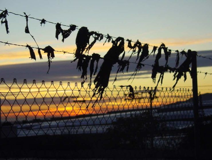 Plásticos abandonados en el campo