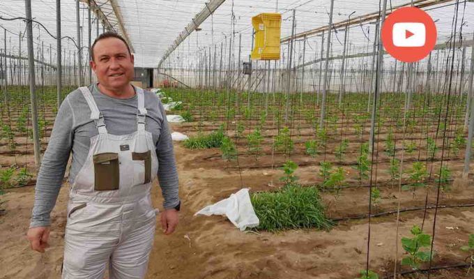 juan jose rull agricultor de casur, Unica Group