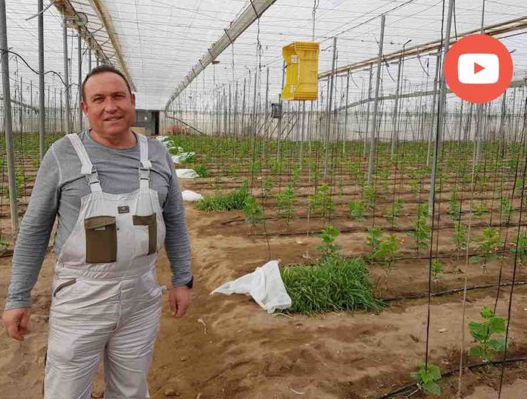 juan jose rull agricultor de casur, Unica Group