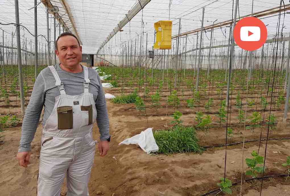 juan jose rull agricultor de casur, Unica Group