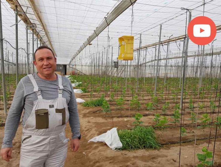 Juan José Rull, agricultor de Unica Group
